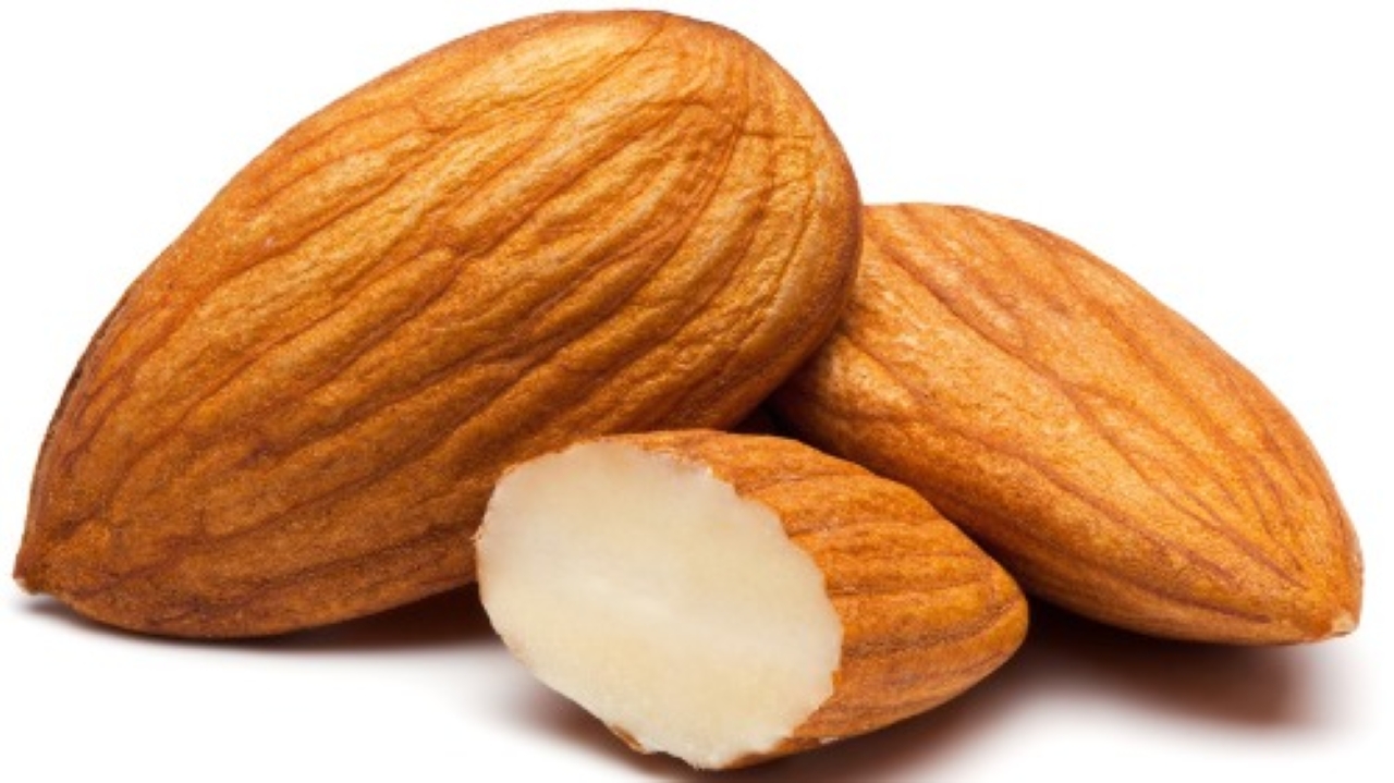 কাঠ বাদাম 