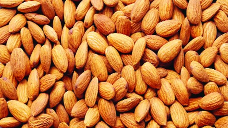 কাঠ বাদাম