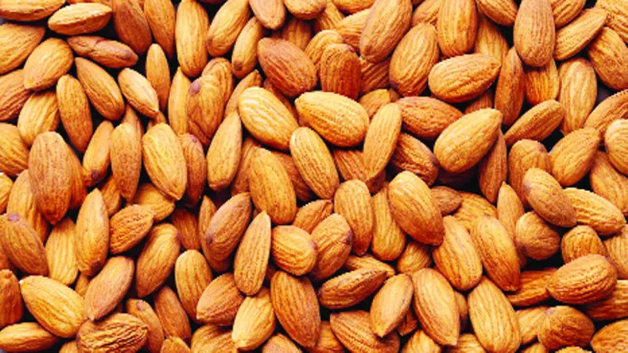 কাঠ বাদাম