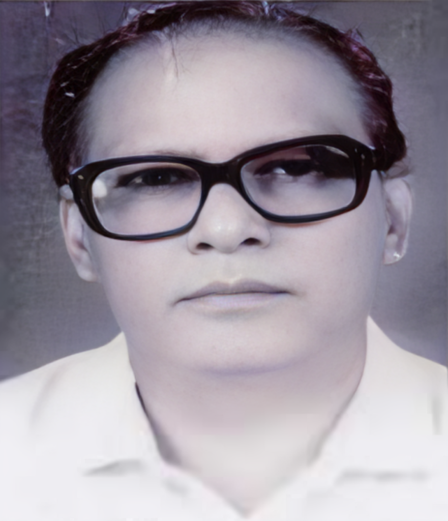 নুরুল ইসলাম চৌধুরী