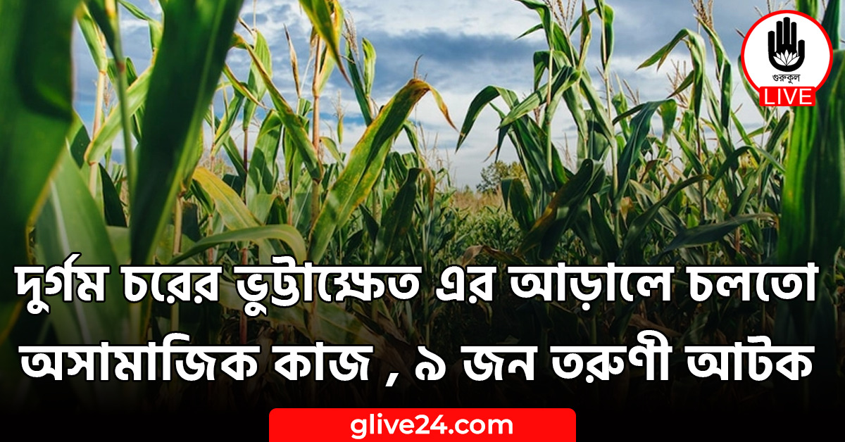 দুর্গম চরের ভুট্টাক্ষেত এর আড়ালে চলতো অসামাজিক কাজ , ৯ জন তরুণী আটক