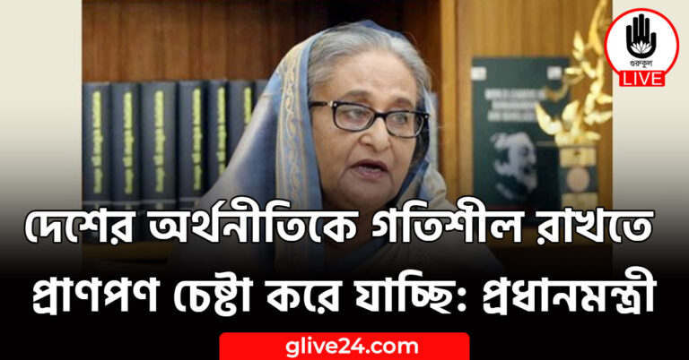 দেশের অর্থনীতিকে গতিশীল রাখতে প্রাণপণ চেষ্টা করে যাচ্ছি: প্রধানমন্ত্রী