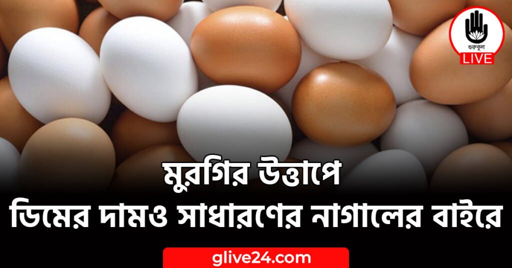 উত্তাপে ডিমের দামও সাধারণের নাগালের বাইরে মুরগির উত্তাপে ডিমের দামও সাধারণের নাগালের বাইরে