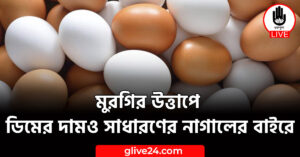 উত্তাপে ডিমের দামও সাধারণের নাগালের বাইরে মুরগির উত্তাপে ডিমের দামও সাধারণের নাগালের বাইরে