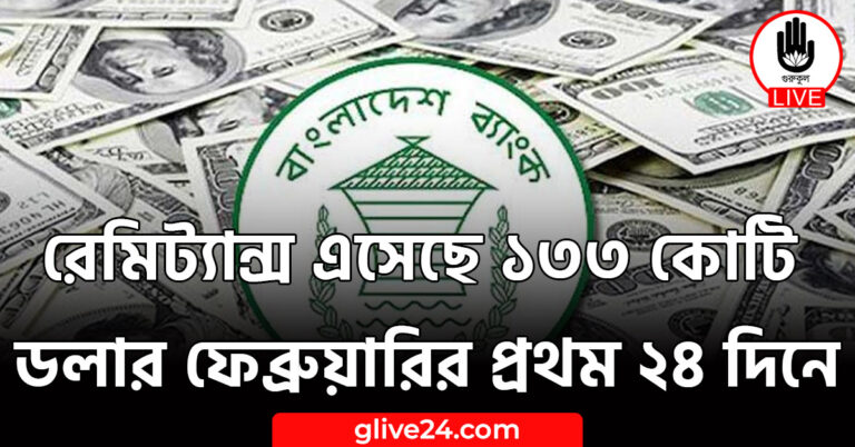 রেমিট্যান্স এসেছে ১৩৩ কোটি ডলার ফেব্রুয়ারির প্রথম ২৪ দিনে