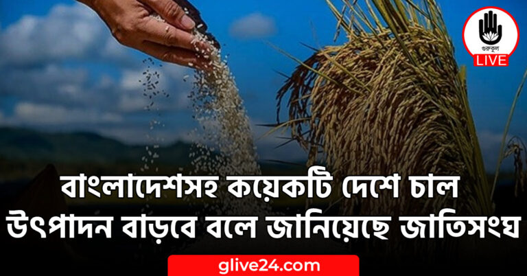 বাংলাদেশসহ কয়েকটি দেশে চাল উৎপাদন বাড়বে বলে জানিয়েছে জাতিসংঘ