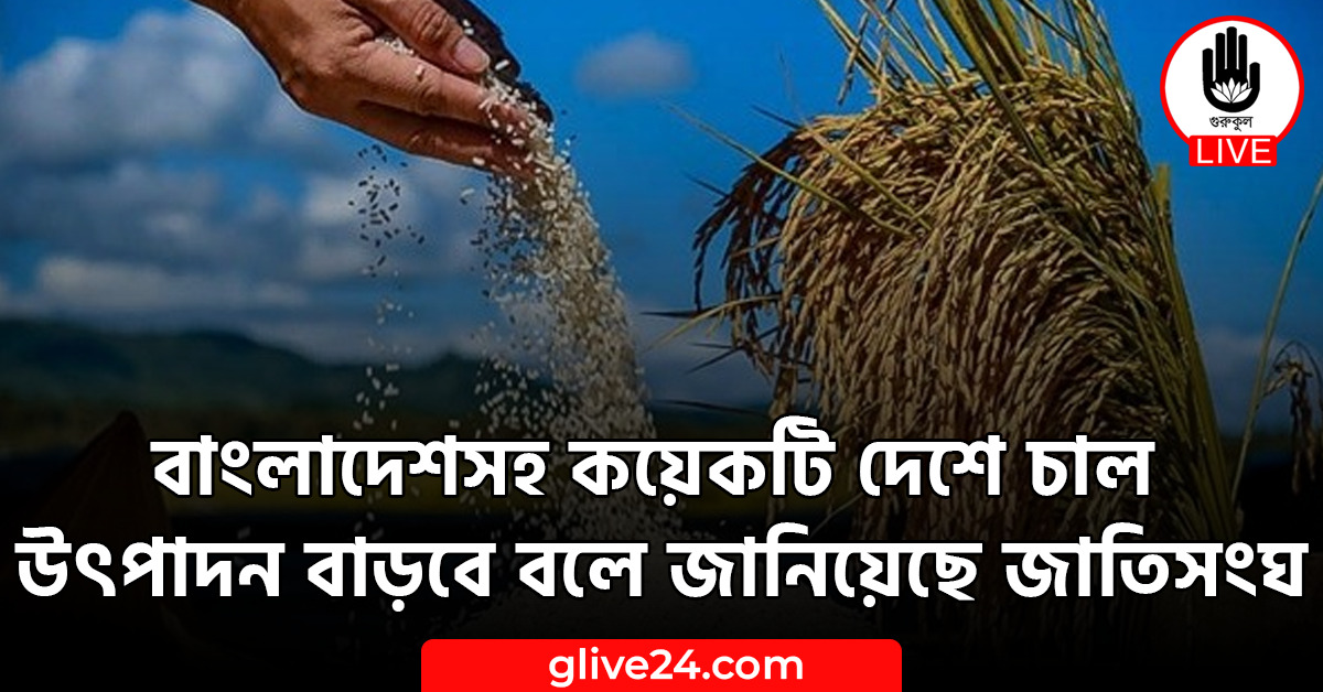 বাংলাদেশসহ কয়েকটি দেশে চাল উৎপাদন বাড়বে বলে জানিয়েছে জাতিসংঘ