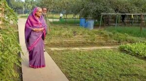 গণভবনে প্রধানমন্ত্রীর ফসলি উঠোন থেকে উঠলো ৪৬ মণ পেঁয়াজ