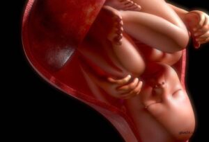 বিশ্বজুড়ে প্রতি ২ মিনিটে এক নারীর মৃত্যু গর্ভধারণ-সন্তান প্রসবের কারনে 4 বিশ্বজুড়ে প্রতি ২ মিনিটে এক নারীর মৃত্যু গর্ভধারণ-সন্তান প্রসবের কারনে