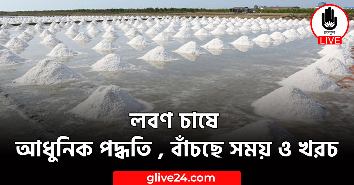 চাষে আধুনিক পদ্ধতি বাঁচছে সময় ও খরচ লবণ চাষে আধুনিক পদ্ধতি , বাঁচছে সময় ও খরচ