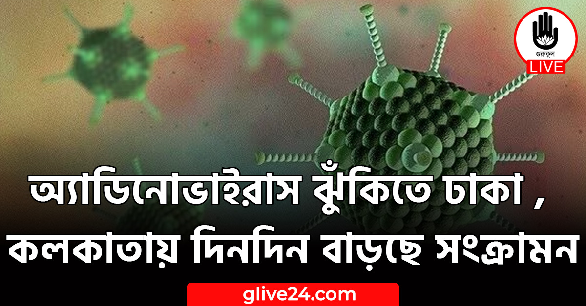 অ্যাডিনোভাইরাস ঝুঁকিতে ঢাকা , কলকাতায় দিনদিন বাড়ছে সংক্রামন 1 অ্যাডিনোভাইরাস ঝুঁকিতে ঢাকা , কলকাতায় দিনদিন বাড়ছে সংক্রামন
