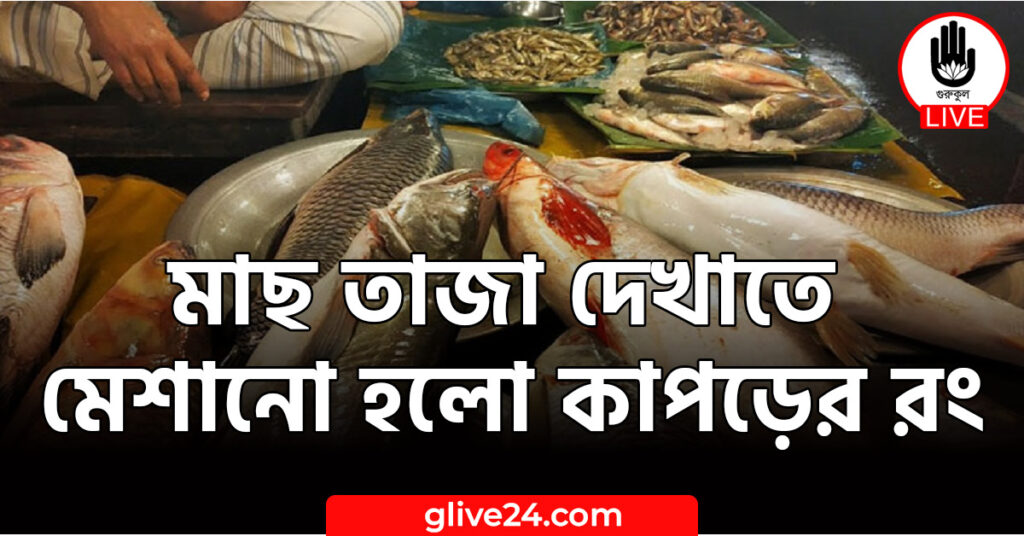 মাছ তাজা দেখাতে মেশানো হলো কাপড়ের রং