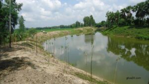 পুকুর পুন:খনন করবে বিএমডিএ রাজশাহী অঞ্চলে আরো ৭১৫টি 