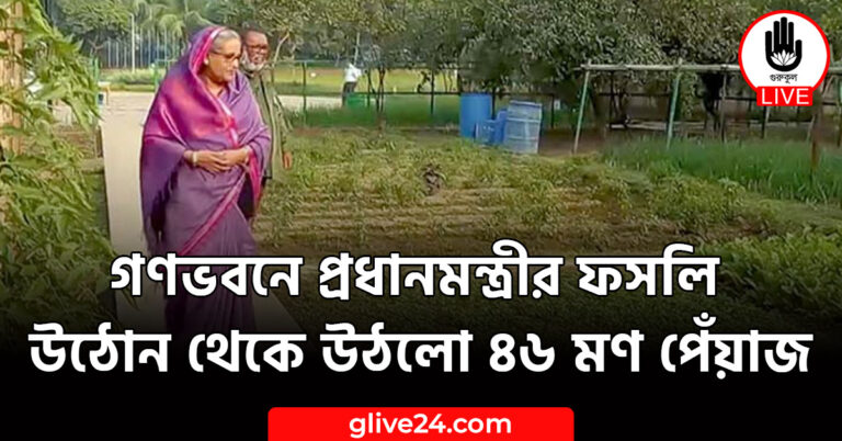 গণভবনে প্রধানমন্ত্রীর ফসলি উঠোন থেকে উঠলো ৪৬ মণ পেঁয়াজ