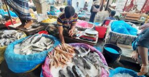 মাছ তাজা দেখাতে মেশানো হলো কাপড়ের রং