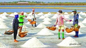 লবণ চাষে আধুনিক পদ্ধতি , বাঁচছে সময় ও খরচ 