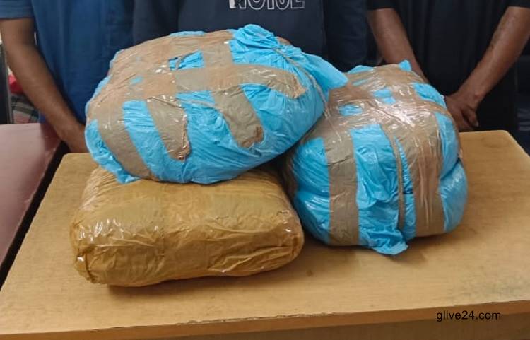 গুলিস্তানে ডিবির অভিযানে ১২ কেজি গাঁজাসহ ৩ জন গ্রেফতার