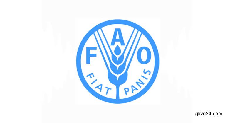 বিশ্বে খাদ্যপণ্যের দাম টানা ১১ মাস কমেছে