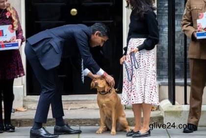 কুকুর নিয়ে নিয়ম ভেঙে টিকটকে কটাক্ষের শিকার ব্রিটেনের প্রধানমন্ত্রী 4 কুকুর নিয়ে নিয়ম ভেঙে টিকটকে কটাক্ষের শিকার ব্রিটেনের প্রধানমন্ত্রী