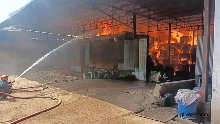 তুলার গোডাউনে ভয়াবহ অগ্নিকাণ্ড 2 তুলার গোডাউনে ভয়াবহ অগ্নিকাণ্ড