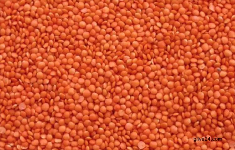 ৮ হাজার টন মসুর ডাল কিনছে সরকার ভারত থেকে