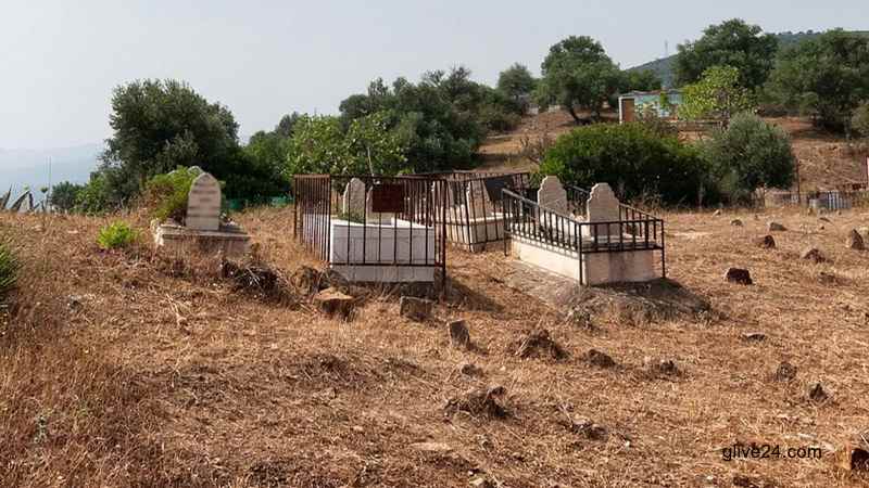 কবর থেকে নারীদের মৃতদেহ তুলে ধর্ষণ, দেহ বাঁচাতে লোহা দিয়ে ঘেরা হচ্ছে কবর