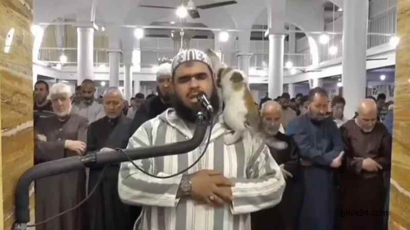 কাঁধে বিড়াল ওঠা সেই ইমামকে বিশেষ সংবর্ধনা দিল সরকার