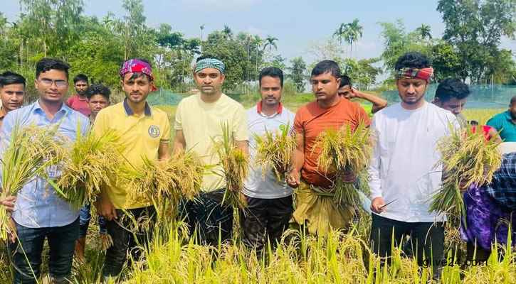 কৃষকের ধান কেটে দিল ছাত্রলীগ