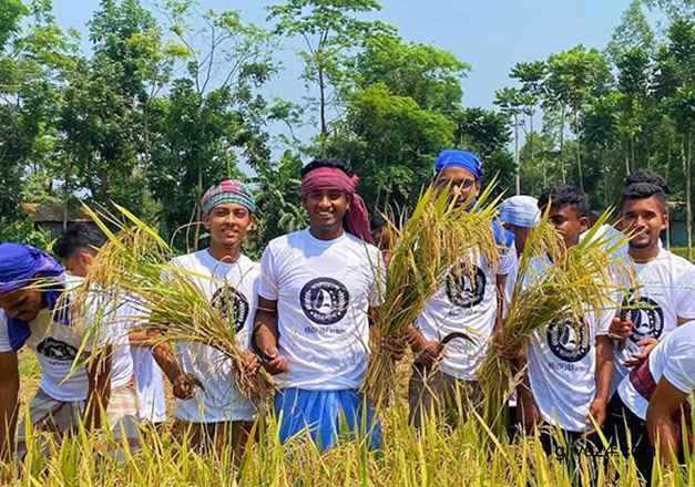 কৃষকের ধান কেটে দিল ছাত্রলীগ ২ কৃষকের ধান কেটে দিল ছাত্রলীগ
