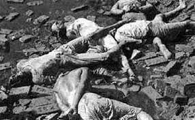 আইএজিএস-এর ঘোষণা ১৯৭১-এর জেনোসাইডের আন্তর্জাতিক স্বীকৃতি আদায়ের পথে বড় অর্জন : মুক্তিযুদ্ধ মন্ত্রী