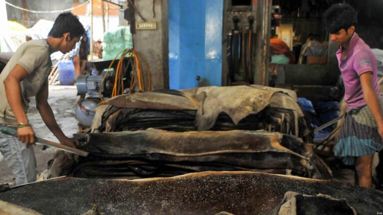 শোভন কাজের পরিবেশ নিশ্চিত করতে ট্যানারি শ্রমিকদের পেশাগত নিরাপত্তায় ১০ দফা সুপারিশ