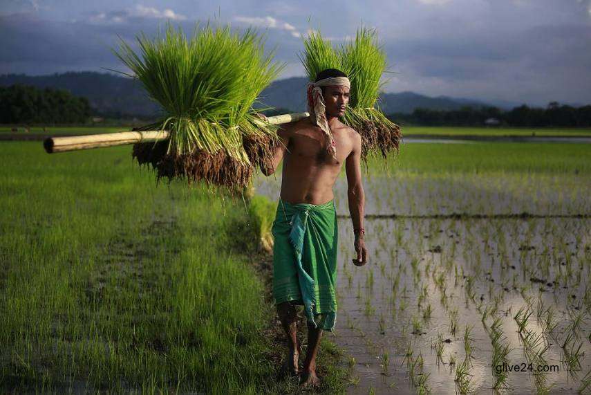 যৌথভাবে দেশব্যাপী ১৩০০ কৃষককে ২৫ কোটি টাকা সহায়তা করবে ইউসিবি এগ্রো-আরডিএ