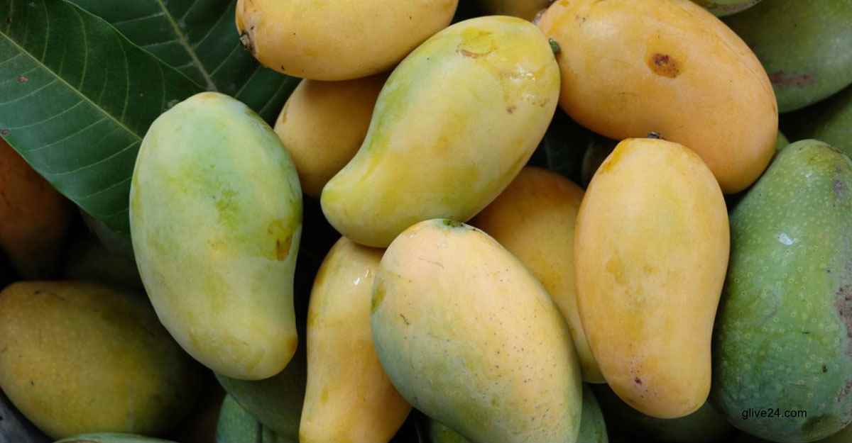 অনলাইনে আমের প্রি-অর্ডার প্রায় ৯ কোটি টাকার