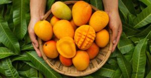 অনলাইনে আমের প্রি-অর্ডার প্রায় ৯ কোটি টাকার