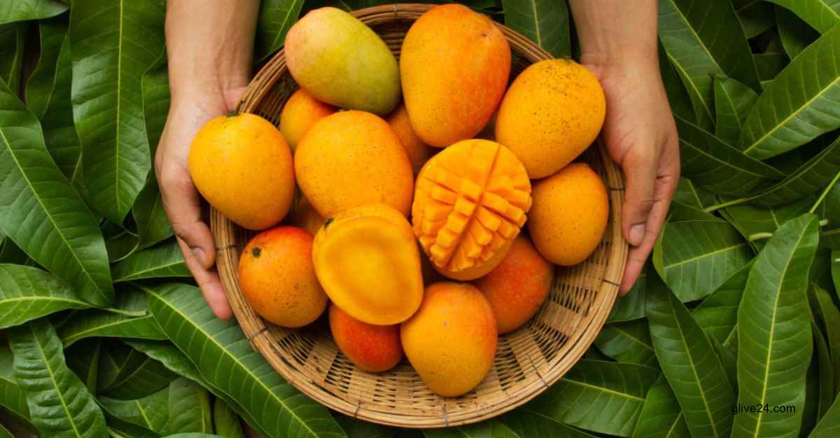 অনলাইনে আমের প্রি-অর্ডার প্রায় ৯ কোটি টাকার