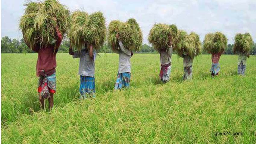 যৌথভাবে দেশব্যাপী ১৩০০ কৃষককে ২৫ কোটি টাকা সহায়তা করবে ইউসিবি এগ্রো-আরডিএ