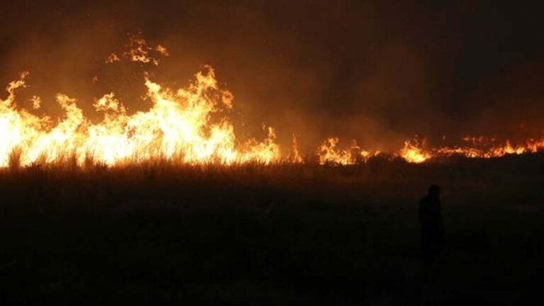 কাজাখস্তানে দাবানলে নিহত ১৪