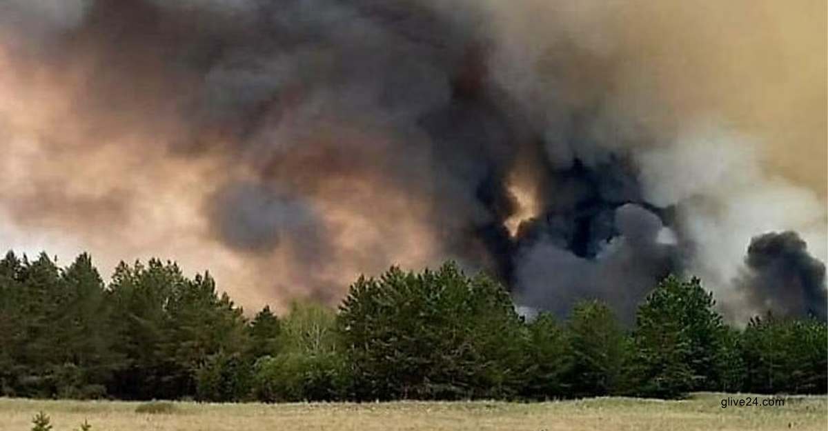 কাজাখস্তানে দাবানলে নিহত ১৪ 2 কাজাখস্তানে দাবানলে নিহত ১৪