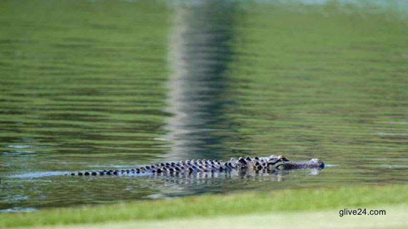 পরিবার প্রেমের কথা জেনে যাওয়ার পর তরুণ-তরুণীকে মেরে কুমির ভর্তি নদীতে ফেলা হয়