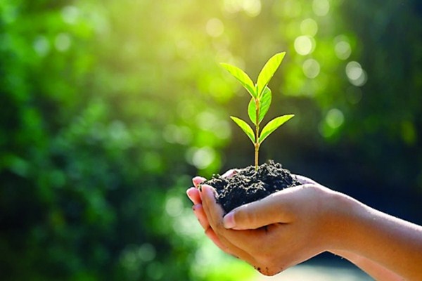 পরিবেশ সংরক্ষণে দেশে ব্যাপক হারে বৃক্ষরোপণ করা হচ্ছে : পরিবেশমন্ত্রী 4 পরিবেশ সংরক্ষণে দেশে ব্যাপক হারে বৃক্ষরোপণ করা হচ্ছে : পরিবেশমন্ত্রী