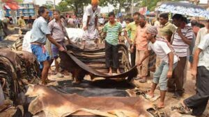 কুরবানির পশুর চামড়ার দাম নির্ধারণ