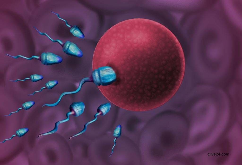 শুক্রাণু, ডিম্বাণু ছাড়াই শিশু!