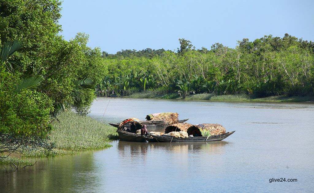সুন্দরবনে ৮০টি পুকুর পুনঃখনন করেছে বন বিভাগ 2 সুন্দরবনে ৮০টি পুকুর পুনঃখনন করেছে বন বিভাগ