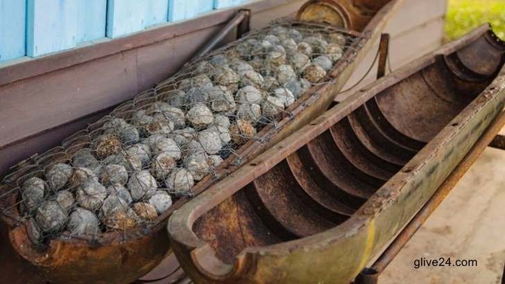 ইউক্রেনকে ক্লাস্টার বোমা দিচ্ছে যুক্তরাষ্ট্র