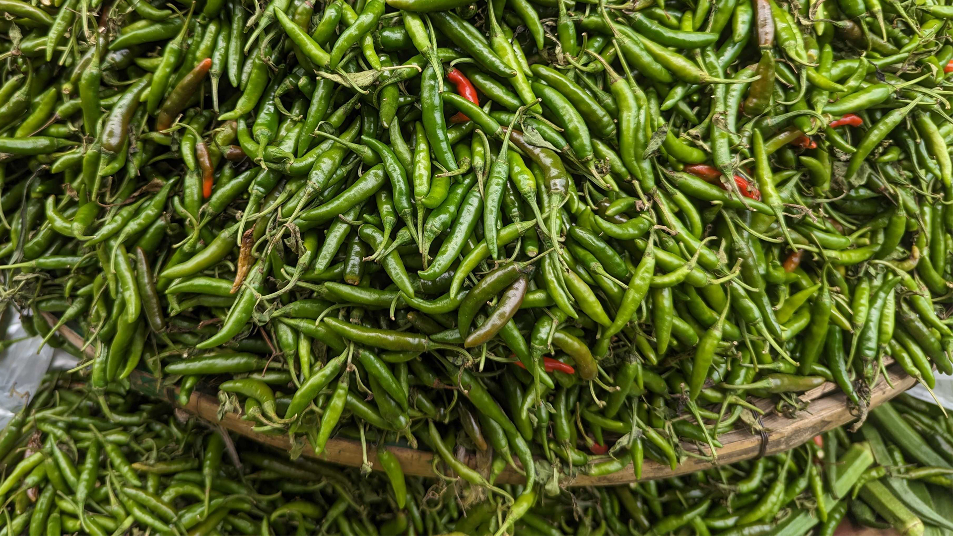 কাঁচা মরিচের দাম কেজিতে ৬০ টাকা কমেছে হিলিতে