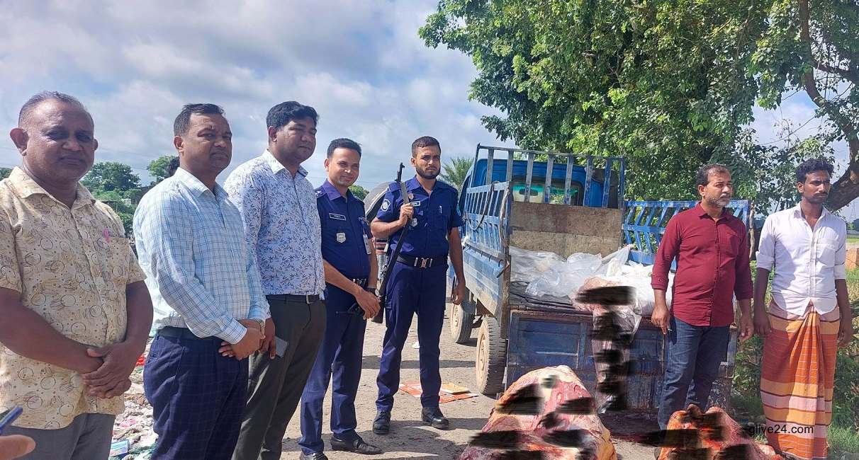 কুকুরে কামড়ানো গর্ভবতী গাভীর মাংস বিক্রির চেষ্টা ১ কুকুরে কামড়ানো গর্ভবতী গাভীর মাংস বিক্রির চেষ্টা