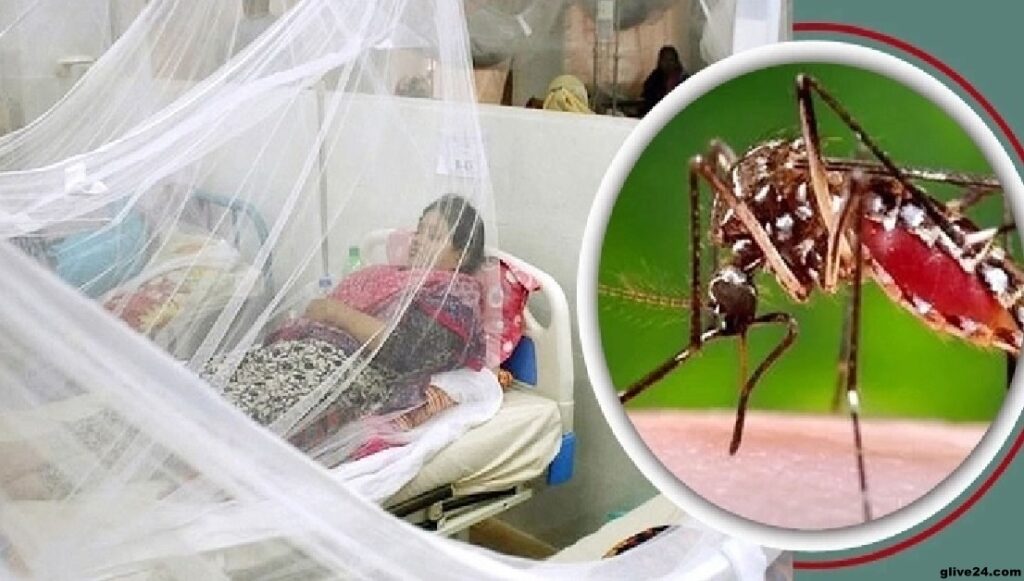 চট্টগ্রামে ডেঙ্গুতে শিশু ও নারীর মৃত্যু, হাসপাতালে ভর্তি আরো শতাধিক
