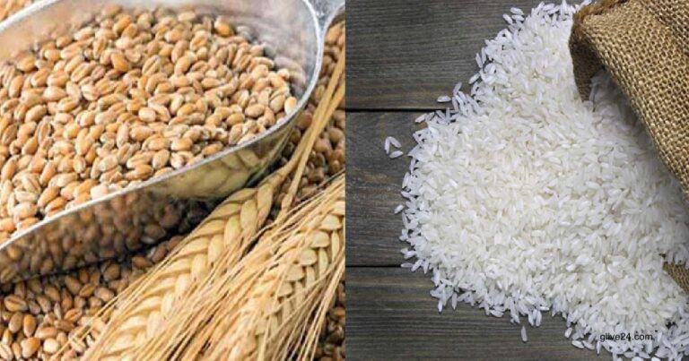 চাল গম ২ সরকার ১১ লাখ টন চাল-গম আমদানি করবে
