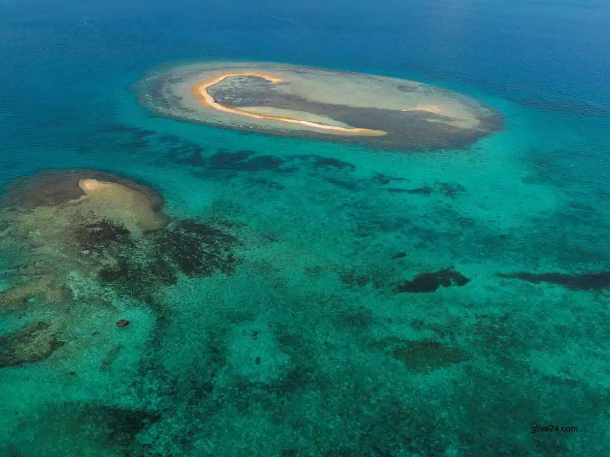 জলবায়ু পরিবর্তনে বদলে যাচ্ছে সমুদ্রের রং