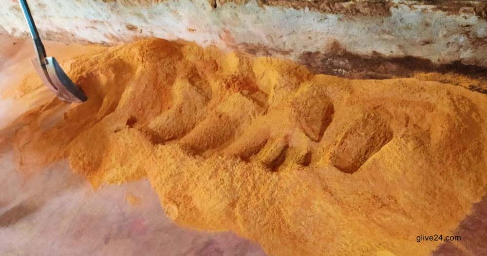 মাদক খুঁজতে গিয়ে মিললো নকল মশলার মিল